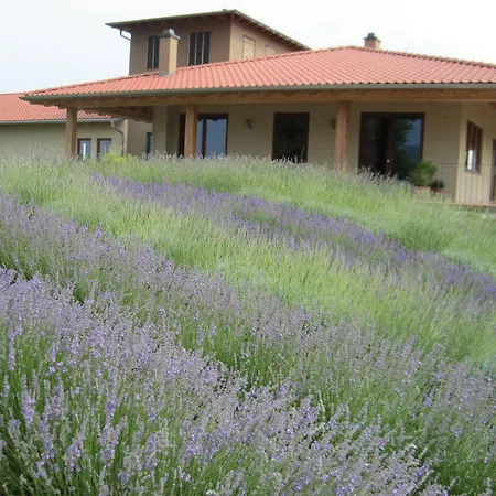 Kraeutergarten-klostermuehle Edenkoben