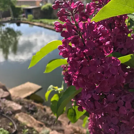 Appartement Kraeutergarten-klostermuehle Edenkoben